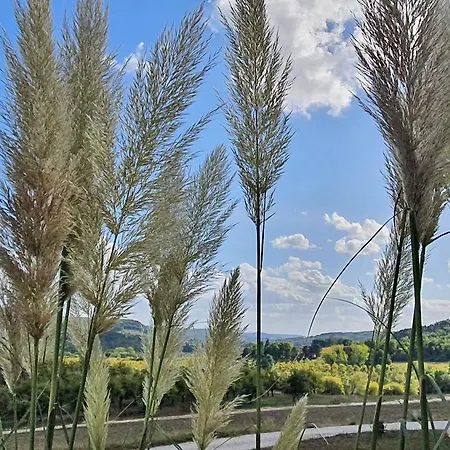 Appartement Domaine Lapeze *